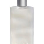 عطر ادکلن بیتوین شیتز ون گیلس - Between Sheets Van Gils - بررسی، قیمت و خرید