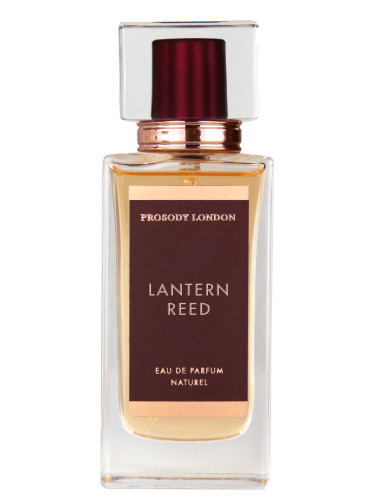 عطر ادکلن لنترن رید پرازودی لاندن - Lantern Reed Prosody London - بررسی، قیمت و خرید