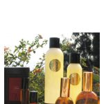 عطر ادکلن پرفکت لاو سارا هورویتز پارفومز - Perfect Love Sarah Horowitz Parfums - بررسی، قیمت و خرید