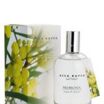 عطر ادکلن میموسا آکاکاپا - Mimosa Acca Kappa - بررسی، قیمت و خرید