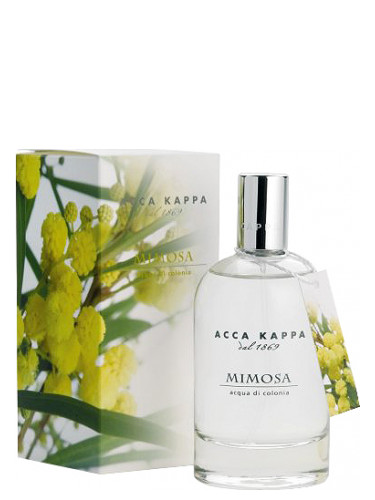 عطر ادکلن میموسا آکاکاپا - Mimosa Acca Kappa - بررسی، قیمت و خرید