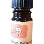 عطر ادکلن مارشمالو پولووریزه آرکانا کرِیوْز - Marshmallows Pulverize! Arcana Craves - بررسی، قیمت و خرید