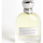 عطر ادکلن هیدن لدر امارات پراید پرفیومز - Hidden Leather Emirates Pride Perfumes - بررسی، قیمت و خرید