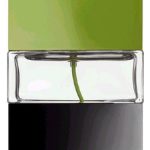 عطر ادکلن تورکواتیک مک - Turquatic MAC - بررسی، قیمت و خرید