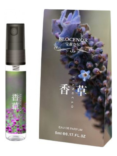 عطر ادکلن لاوندر بلوکنور - Lavender Blocenor - بررسی، قیمت و خرید