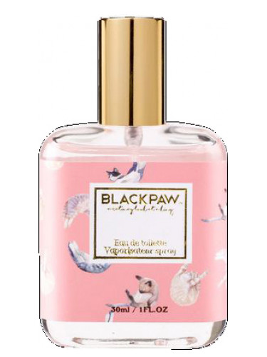 عطر ادکلن لیتل میلک کت بلک پا - Little Milk Cat Black Paw - بررسی، قیمت و خرید