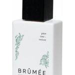 عطر ادکلن پاین تری وِتیوِر بروومه - Pine Tree + Vetiver Brûmée - بررسی، قیمت و خرید