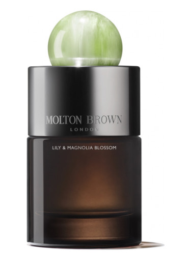 عطر ادکلن لیلی و مگنولیا بلاسوم او دو پرفیوم مالتون براون - Lily & Magnolia Blossom Eau de Parfum Molton Brown - بررسی، قیمت و خرید