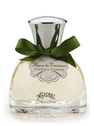 عطر ادکلن وربنا فلاور میسترال - Verbena Flower Mistral - بررسی، قیمت و خرید