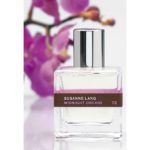 عطر ادکلن میدنایت ارکید هفتاد و دو سوزان لانگ - Midnight Orchid 72 Susanne Lang - بررسی، قیمت و خرید