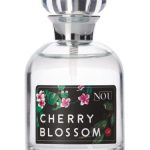 عطر ادکلن چری بلوسم نو - Cherry Blossom NOU - بررسی، قیمت و خرید
