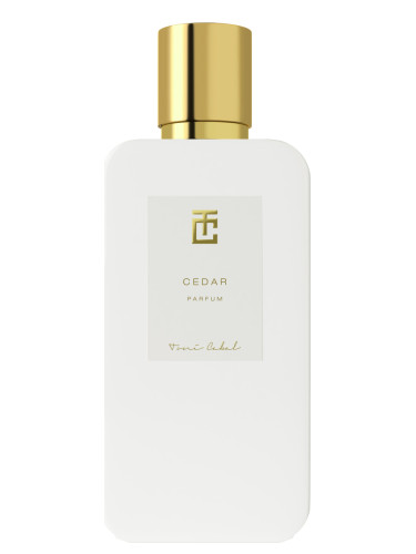 عطر ادکلن سیدر تونی کابل - Cedar Toni Cabal - بررسی، قیمت و خرید