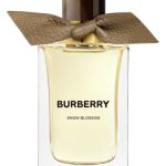 عطر ادکلن اسنو بلاسوم بربری - Snow Blossom Burberry - بررسی، قیمت و خرید