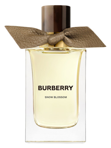 عطر ادکلن اسنو بلاسوم بربری - Snow Blossom Burberry - بررسی، قیمت و خرید