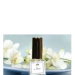 عطر ادکلن آنفلور دی‌اِس‌اِیچ پرفیومز - En Fleur DSH Perfumes - بررسی، قیمت و خرید