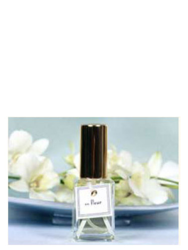 عطر ادکلن آنفلور دی‌اِس‌اِیچ پرفیومز - En Fleur DSH Perfumes - بررسی، قیمت و خرید