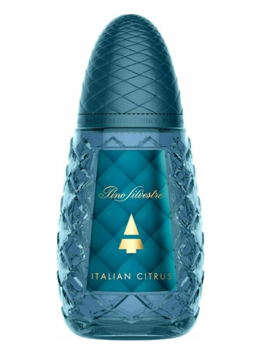 عطر ادکلن پینو سیلوستره ایتالیان سیترس پینو سیلوستر - Pino Silvestre Italian Citrus Pino Silvestre - بررسی، قیمت و خرید