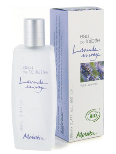 عطر ادکلن وایلد لاوندر ملویتا - Wild Lavender Melvita - بررسی، قیمت و خرید