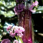 عطر ادکلن وری ایریزیستیبل ادو پرفیوم ژیوانشی - Very Irresistible Eau de Parfum Givenchy - بررسی، قیمت و خرید