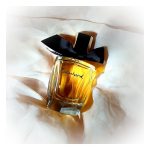 عطر ادکلن کابوشارد ادو تویلت ۲۰۱۹ گرس - Cabochard Eau de Toilette 2019 Grès - بررسی، قیمت و خرید