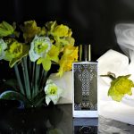 عطر ادکلن سیوا ممو پاریس - Siwa Memo Paris - بررسی، قیمت و خرید