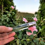 عطر ادکلن رز پیوین نیکولای پارفومر کریتور - Rose Pivoine Nicolai Parfumeur Createur - بررسی، قیمت و خرید