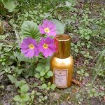 عطر ادکلن اتوال دو سود فرگنارد - Étoile du Sud Fragonard - بررسی، قیمت و خرید