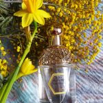 عطر ادکلن آکوا آلگوریا تیار میموسا گرلن - Aqua Allegoria Tiare Mimosa Guerlain - بررسی، قیمت و خرید