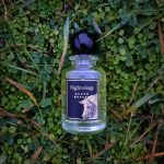عطر ادکلن سوئید بریز خسوس دل پوزو - Suede Breeze Jesus Del Pozo - بررسی، قیمت و خرید