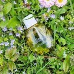 عطر ادکلن او اکسترا اردینر کلارنس - Eau Extraordinaire Clarins - بررسی، قیمت و خرید