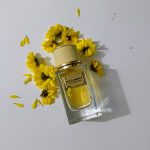 عطر ادکلن ولوت میموزا بلوم دولچه گابانا - Velvet Mimosa Bloom Dolce&Gabbana - بررسی، قیمت و خرید
