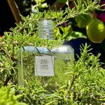 عطر ادکلن لو د آرموآز سرژ لوتنس - L'Eau d'Armoise Serge Lutens - بررسی، قیمت و خرید