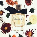 عطر ادکلن کابوشارد ادو تویلت ۲۰۱۹ گرس - Cabochard Eau de Toilette 2019 Grès - بررسی، قیمت و خرید