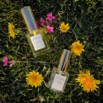 عطر ادکلن پردیس پروونس شالینی - Paradis Provence Shalini - بررسی، قیمت و خرید