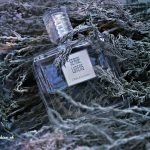 عطر ادکلن لو د آرموآز سرژ لوتنس - L'Eau d'Armoise Serge Lutens - بررسی، قیمت و خرید