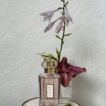 عطر ادکلن لایو این لاو پاریس اُسکار دِ لا رِن‌تا - Live In Love Paris Oscar de la Renta - بررسی، قیمت و خرید