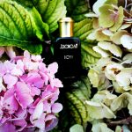 عطر ادکلن بوها جروبام - BOHA Jeroboam - بررسی، قیمت و خرید