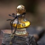 عطر ادکلن وایل دو چیپغ سکرت تری آیزنبرگ - Voile de Chypre Secret III Eisenberg - بررسی، قیمت و خرید