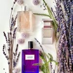 عطر ادکلن بریت ریتم فور هر فلورال بربری - Brit Rhythm for Her Floral Burberry - بررسی، قیمت و خرید