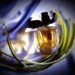 عطر ادکلن کابوشارد ادو تویلت ۲۰۱۹ گرس - Cabochard Eau de Toilette 2019 Grès - بررسی، قیمت و خرید