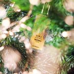 عطر ادکلن سیوا ممو پاریس - Siwa Memo Paris - بررسی، قیمت و خرید