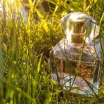 عطر ادکلن تودی تومارو آلویز دی‌دریم ایون - Today Tomorrow Always Daydream Avon - بررسی، قیمت و خرید