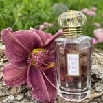 عطر ادکلن لایو این لاو پاریس اُسکار دِ لا رِن‌تا - Live In Love Paris Oscar de la Renta - بررسی، قیمت و خرید