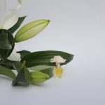 عطر ادکلن کاپریچی نینا ریچی - Capricci Nina Ricci - بررسی، قیمت و خرید