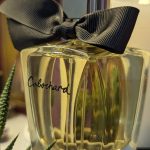 عطر ادکلن کابوشارد ادو تویلت ۲۰۱۹ گرس - Cabochard Eau de Toilette 2019 Grès - بررسی، قیمت و خرید