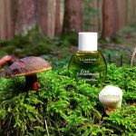 عطر ادکلن او اکسترا اردینر کلارنس - Eau Extraordinaire Clarins - بررسی، قیمت و خرید