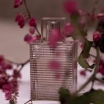 عطر ادکلن بریت ریتم فور هر فلورال بربری - Brit Rhythm for Her Floral Burberry - بررسی، قیمت و خرید