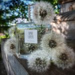 عطر ادکلن لو د آرموآز سرژ لوتنس - L'Eau d'Armoise Serge Lutens - بررسی، قیمت و خرید