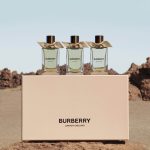 عطر ادکلن اسنو بلاسوم بربری - Snow Blossom Burberry - بررسی، قیمت و خرید