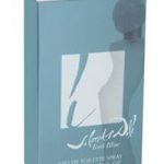 عطر ادکلن آیسد بلو سالوادور دالی - Iced Blue Salvador Dali - بررسی، قیمت و خرید